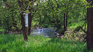eifel