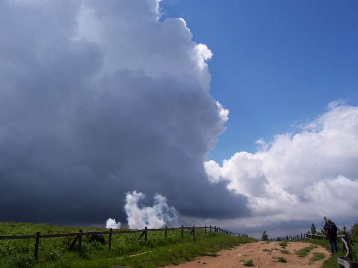 harz