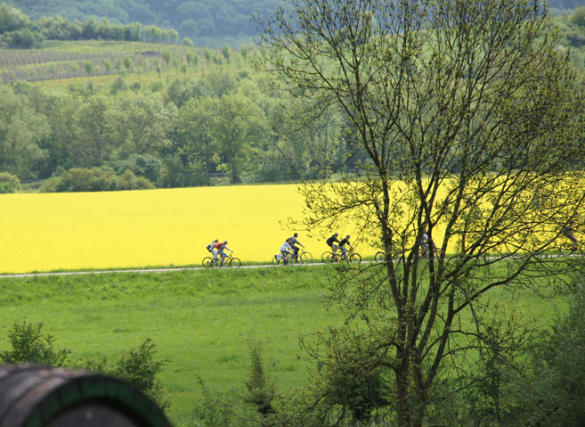 Bei Naumburg im Mai 2013