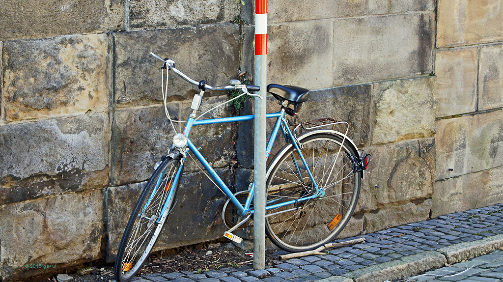 gertrude