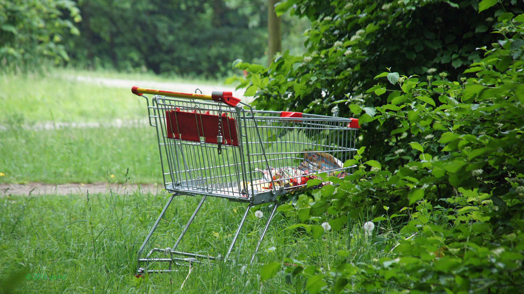 Einkaufswagen bhf