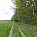eitze