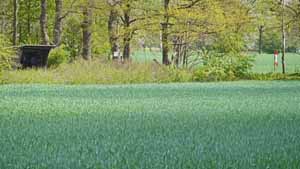 eitze
