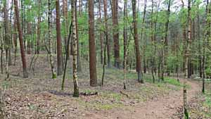 eitze