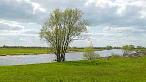 eitze