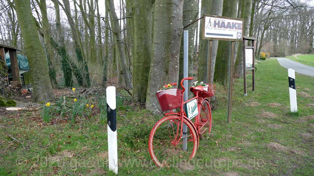 11 falldorf