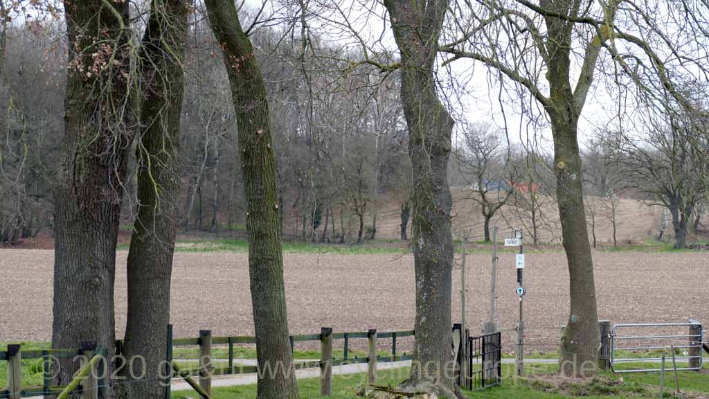 22 falldorf