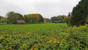 schorlingborstel