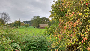 schorlingborstel