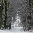 okel