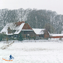 okel