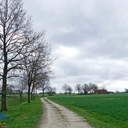 wese