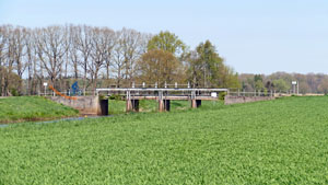 12 barn