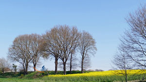 15 barn