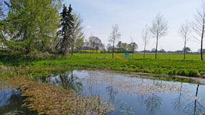 17 barn