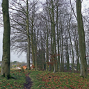 hohberg