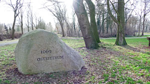 19 rittrum