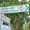 steim