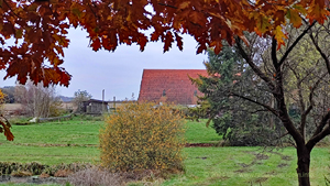 30 brammer