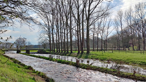 eydelstedt