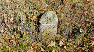 01 ringmar