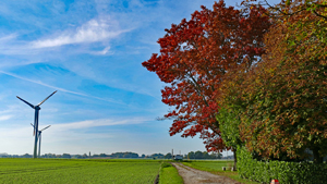 heide