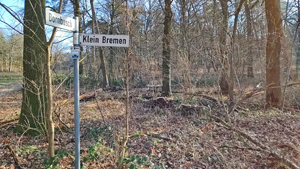 woepse