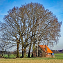 wohlde
