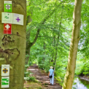 Viele Wege berg