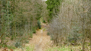 24 img