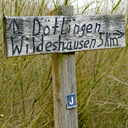 honig