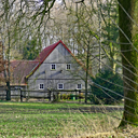 honig