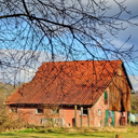 luttum